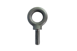 Picture for category Forged Eyebolts