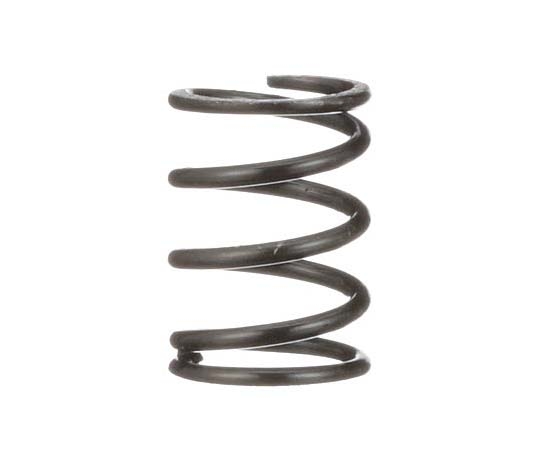 Picture of SPRINGS6