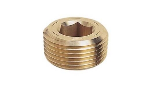 Picture for category BSPT Pipe Plugs